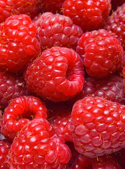 Harvest Symphony: Artisanal Blend of Seasonal Berries